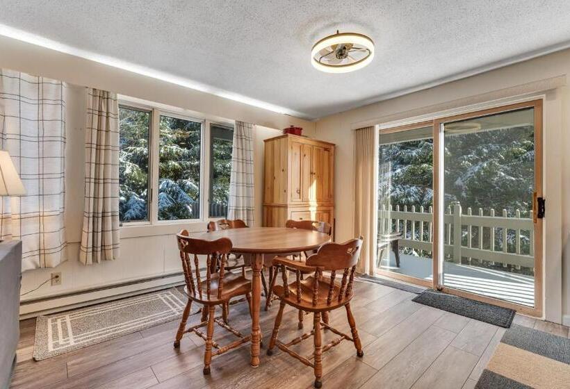 Апартаменты 1 Спальня, Bromley Mountain Condo