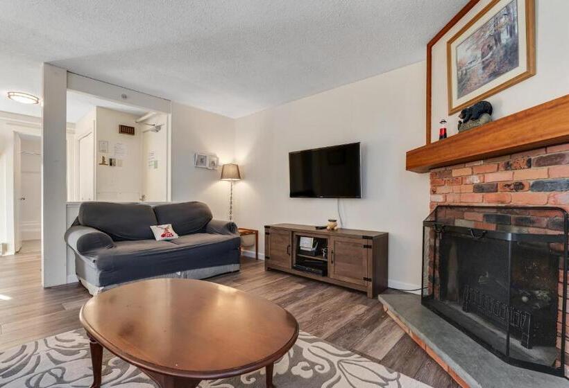 شقة غرفة واحدة, Bromley Mountain Condo