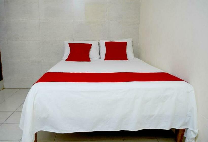 스탠다드 룸, Rosa Del Alba