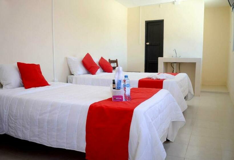 Quarto Triplo Estandar, Rosa Del Alba