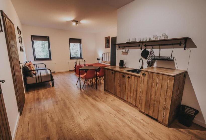 חדר סטודיו סטנדרד, Sady Błotnica Dom Gościnny