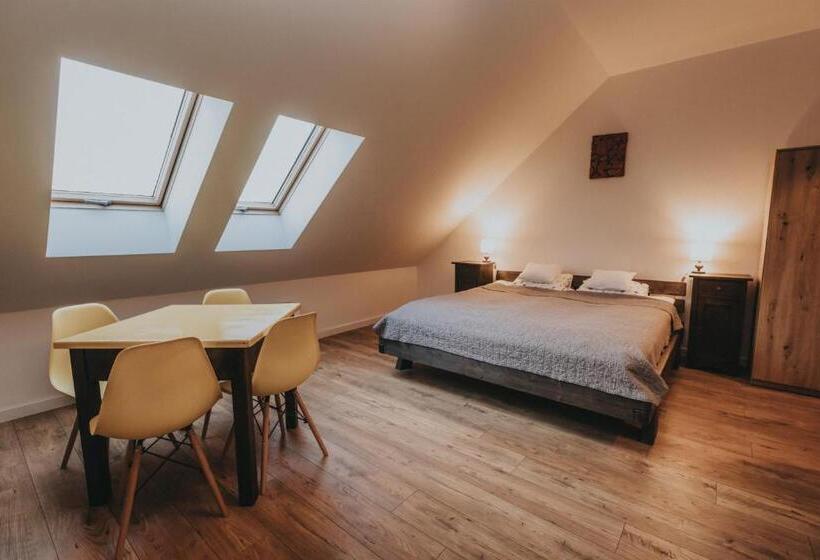 חדר סטודיו סטנדרד, Sady Błotnica Dom Gościnny