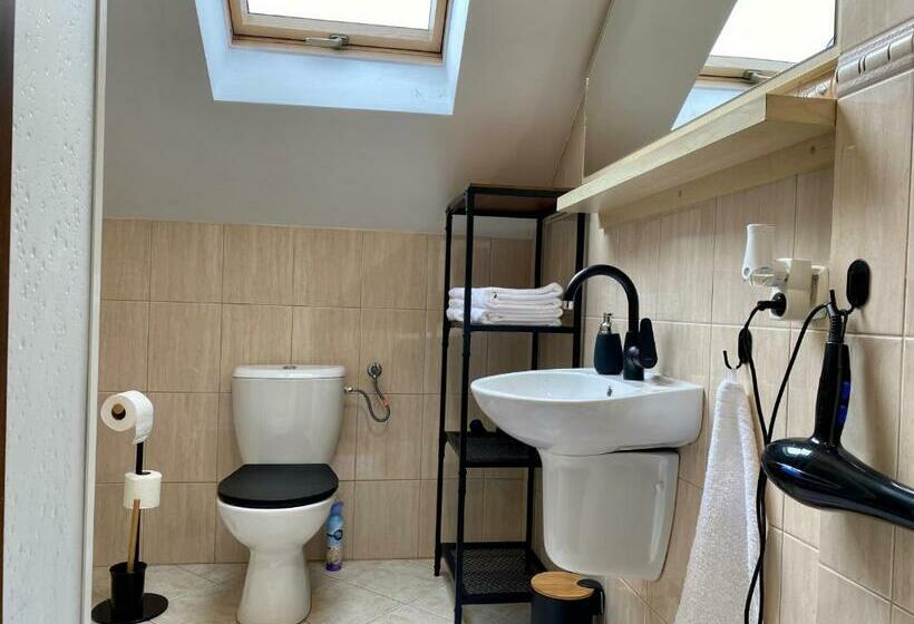 חדר סטנדרט לארבעה, Dziki Szynk