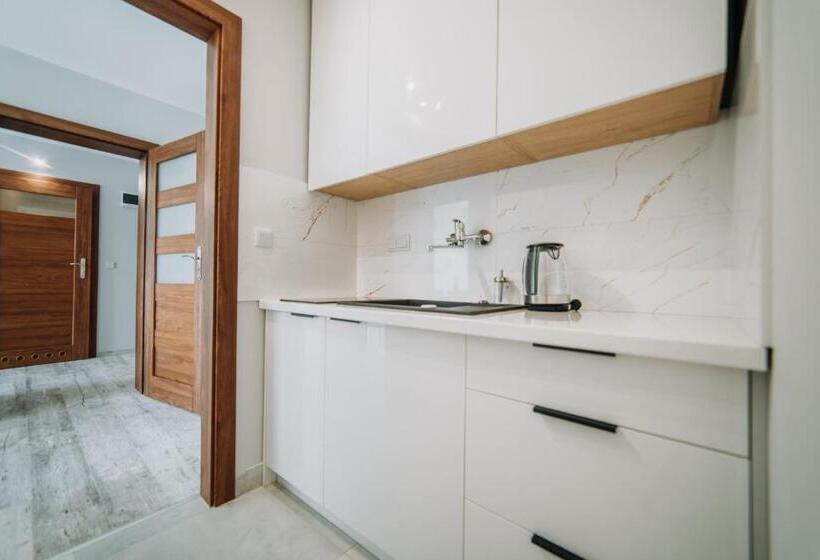 豪华工作室, West Cadillac Solina