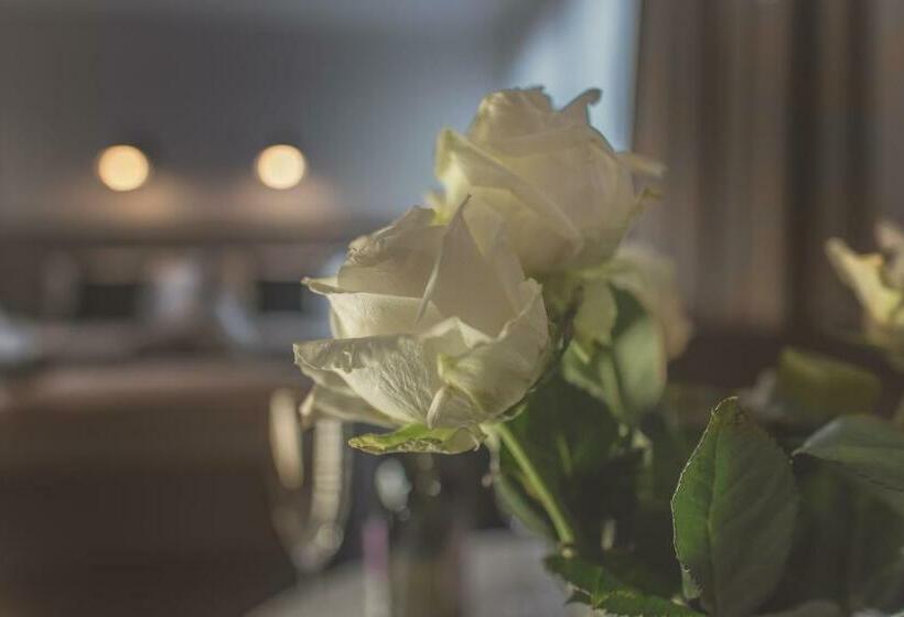 スタンダードルーム, Willa Feria