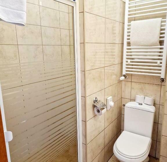 Номер Стандарт, Podróżnik