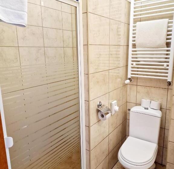 חדר סטנדרט יחיד, Podróżnik