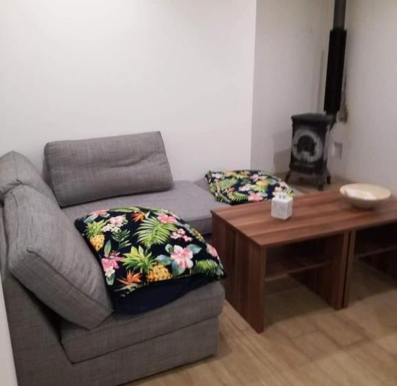 חדר סטודיו סטנדרד, Wiking