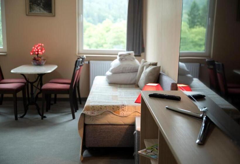 آپارتمان لوکس 1 خوابه, 4family Resortspa