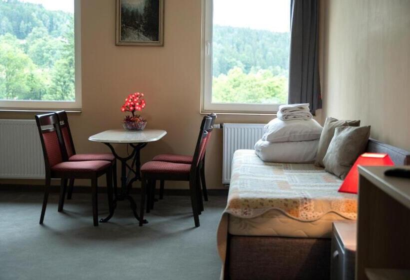 آپارتمان لوکس 1 خوابه, 4family Resortspa