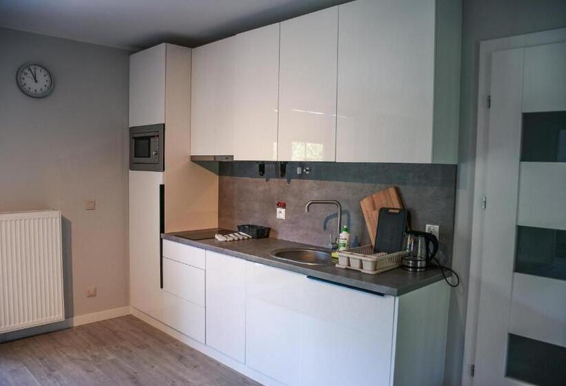 شقة ديلوكس غرفة واحدة, Apartamenty Liliowa 3