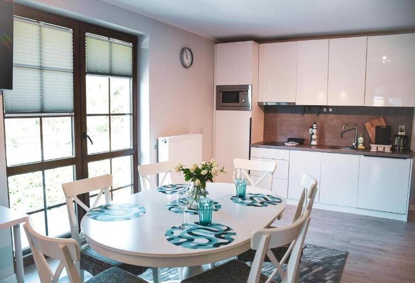 شقة ديلوكس غرفة واحدة, Apartamenty Liliowa 3