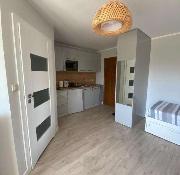 إستوديو قياسى, Apartamenty Liliowa 3