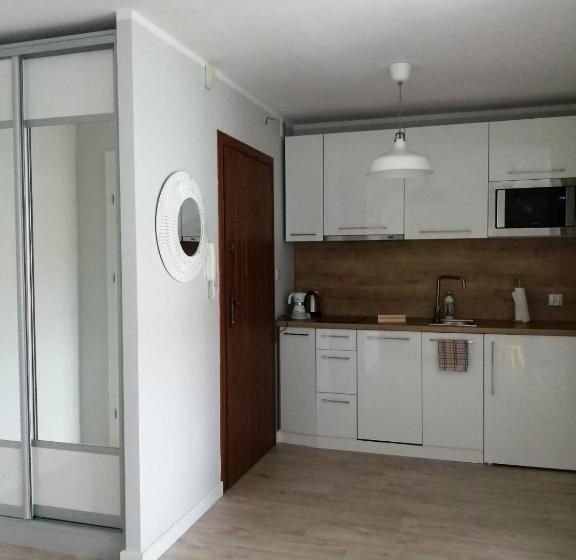 شقة غرفة واحدة, Apartamenty Liliowa 3