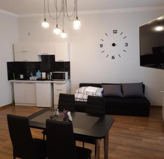 Апартаменты 1 Спальня, Apartamenty Polna