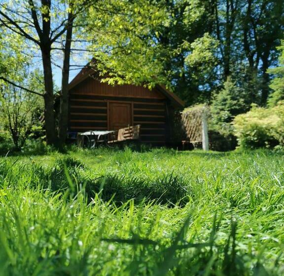 חדר משפחתי נוף לגינה, Agroturystyka W Ogrodach