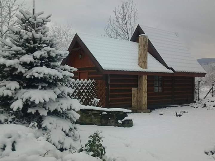 חדר משפחתי נוף לגינה, Agroturystyka W Ogrodach