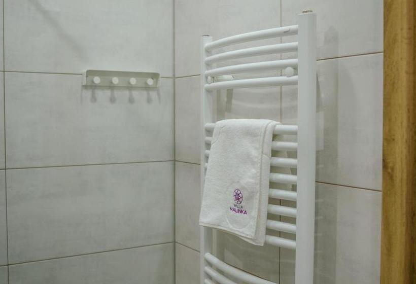 اتاق خانوادگی, Willa Malinka Wiså‚a