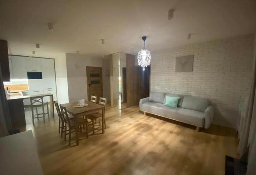 آپارتمان لوکس 1 خوابه, Willa Malinka Wiså‚a