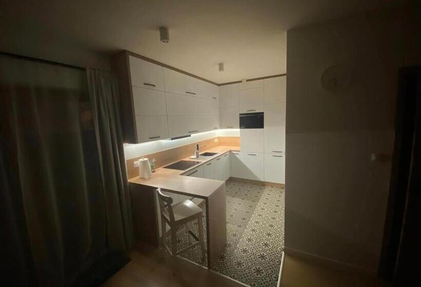 آپارتمان لوکس 1 خوابه, Willa Malinka Wiså‚a