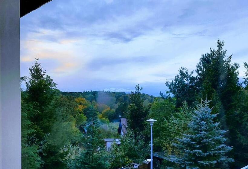 ベーシックルーム, Willa Zamkowisko