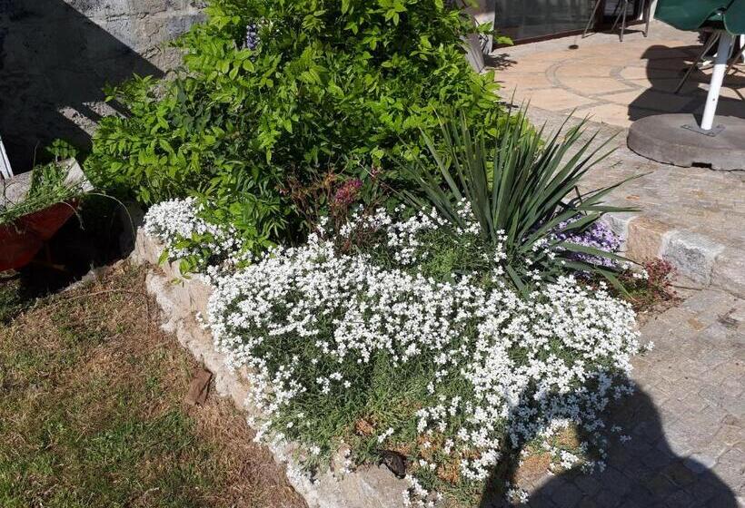 הכלכלה חדר לארבעה עם מקלחת משותפת, Agroturystyka Jagap Oaza Spokoju