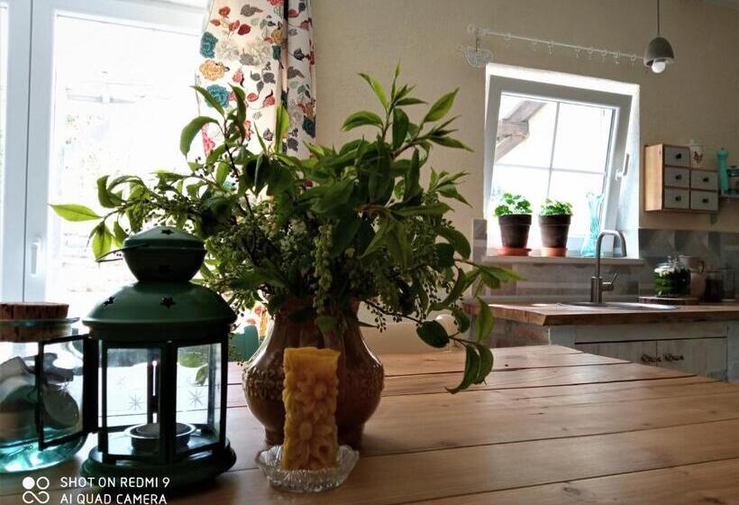 בקתת חדר, Kozy I Róże