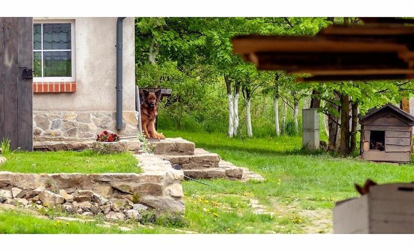 בקתת חדר, Kozy I Róże