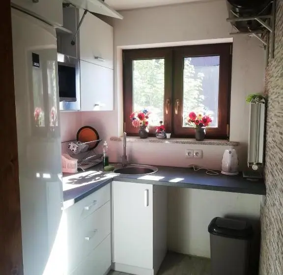 Standard-huone Parveke, Pokoje Gościnne U Babuni