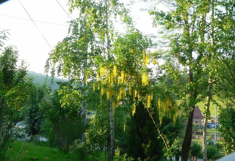 חדר סטנדרט לארבעה, Stara Plebania