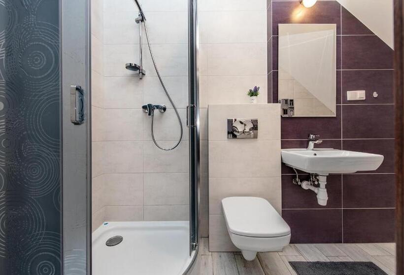 اتاق استاندارد چهار تخته, Rysiówka Pokoje Gościnne