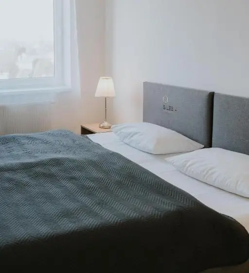 آپارتمان سوپریور 1 خوابه, Silesia Apartments