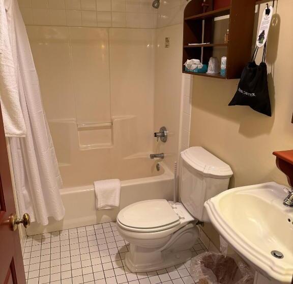 스탠다드 룸, Artists Colony