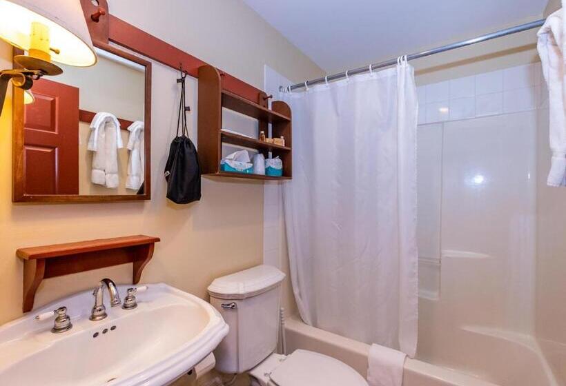 Quarto Triplo Standart, Artists Colony