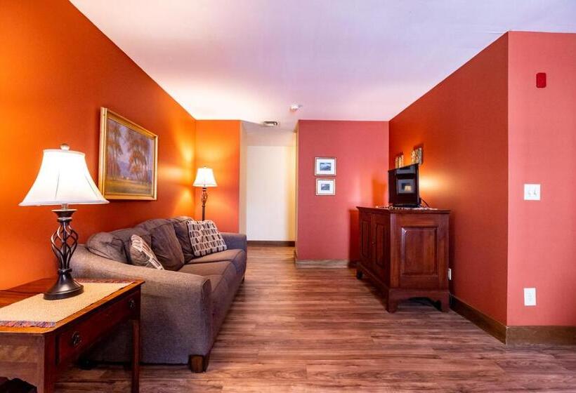 Suite Deluxe, Artists Colony
