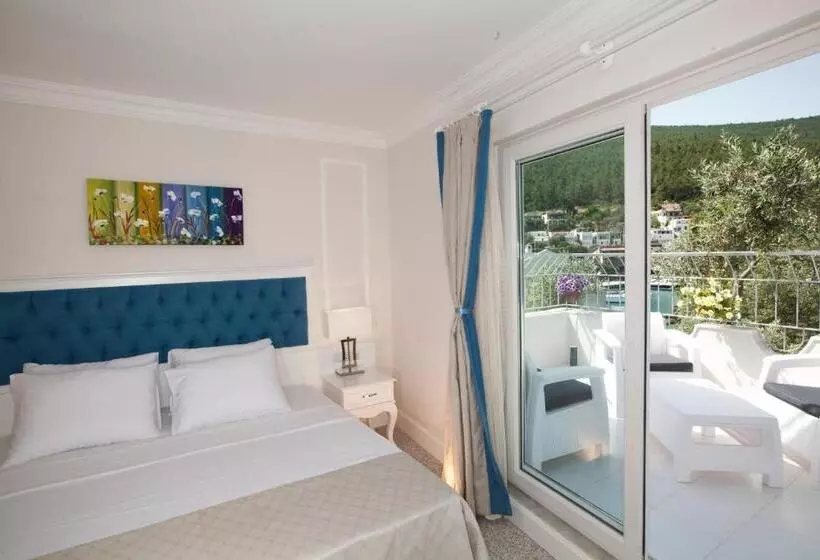 オーシャンビュースタンダードルーム, Zena Hotel Bodrum