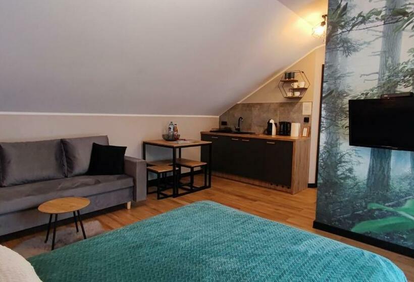 استودیوی استاندارد, Apartament Olimpijska 54