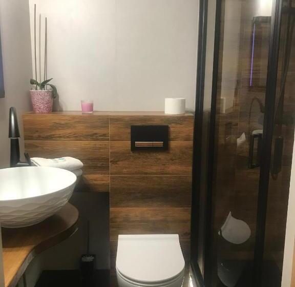 آپارتمان 1 خوابه با بالکن, Pokoje U Tosi I Czesia