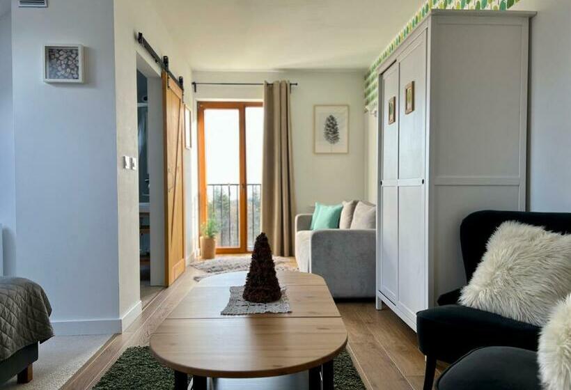 غرفة قياسية, Zagroda Na Pacanach