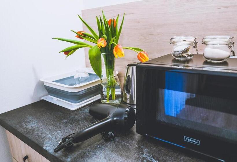 דירת חדר, Owca Z Widokiem