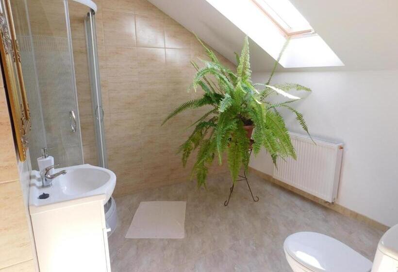 إستوديو ديلوكس, Potok 5