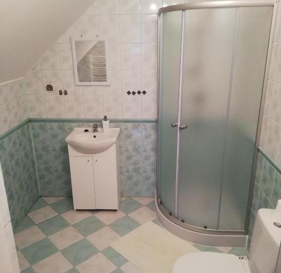 غرفة قياسية رباعية, Potok 5