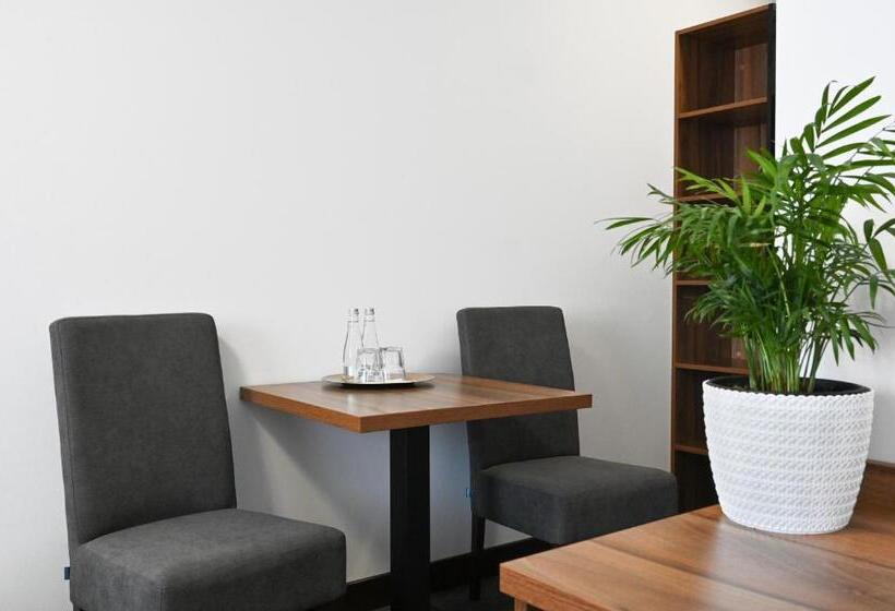 اتاق استاندارد یک نفره, Terminal