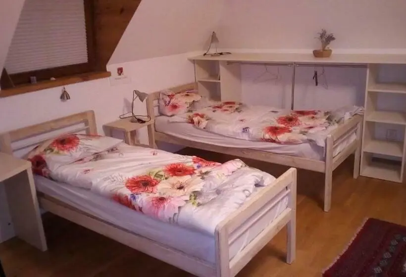 スタンダード４人部屋, Twój Azyl