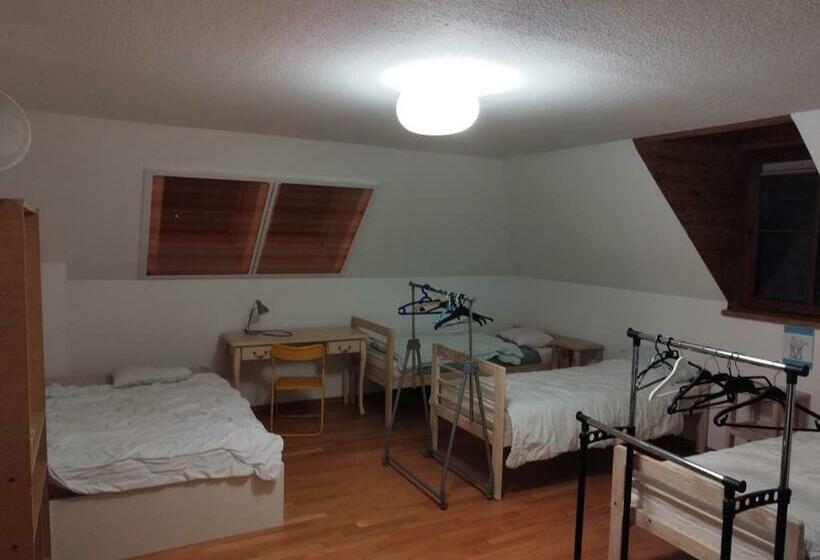 패밀리 룸, Twój Azyl