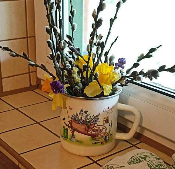 2间卧室的房子, Zielona Dolina