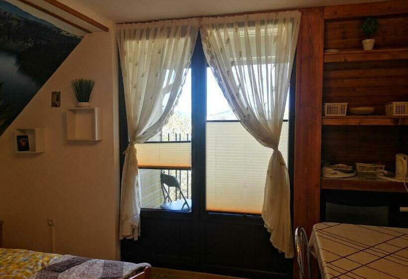 スタンダードルーム, Noclegi Arenda