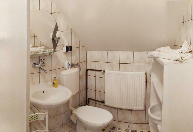 スタンダードルーム, Noclegi Arenda