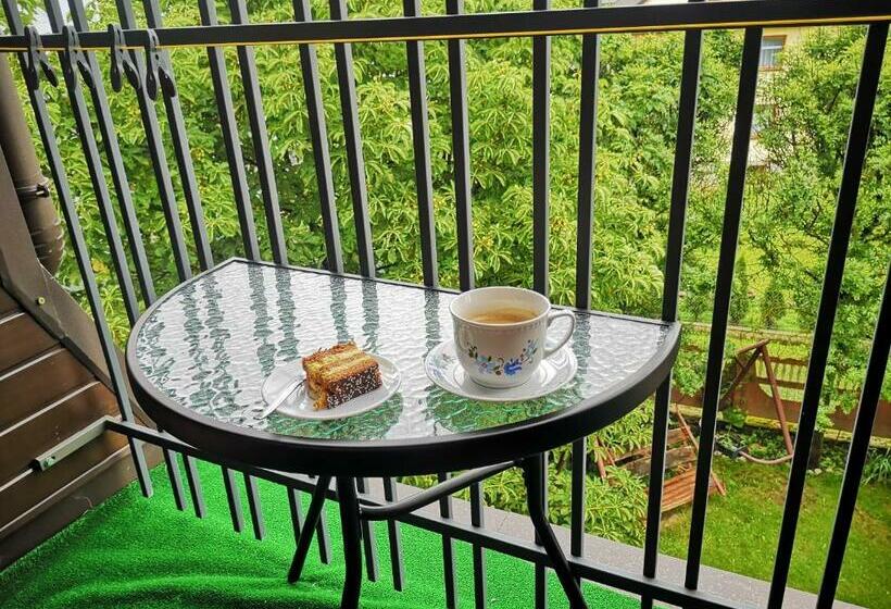 スタンダードルーム, Noclegi Arenda