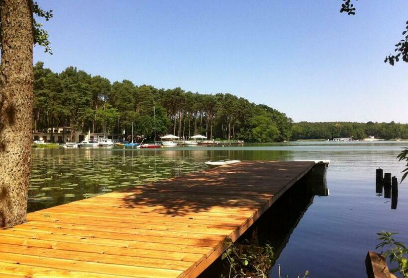 バスルーム共有のシングルスタンダード, Willa Baltazar